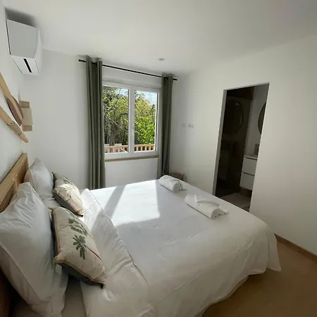 Apartamento Palmeira- *