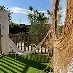 Palmeira- *