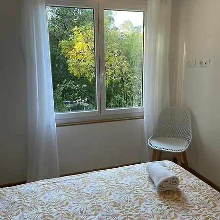 Palmeira- * سانت ماكسيم