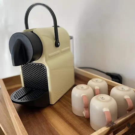 Palmeira- Sainte-Maxime