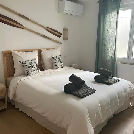 Palmeira- * سانت ماكسيم