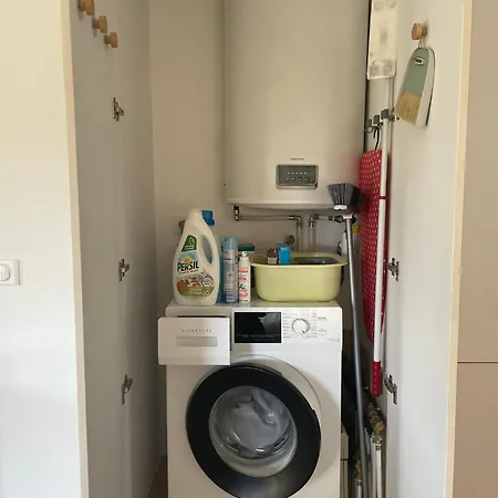 Palmeira- Sainte-Maxime